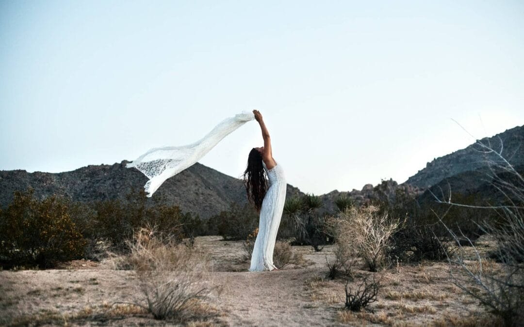 Awaken the Bride: A Prophetic Call to Pray for the Church in This Hour